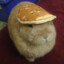 Pancake Bunny