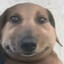 𝔸ℝ𝕋𝔼𝕄𝕀𝕆