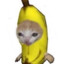=Nzyrf=