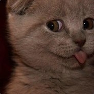 (*Virtus.pro*)_SaHarOK