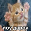 почему's avatar