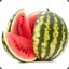 Sandia Gamdom.com