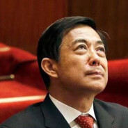 風雨二十載只謂薄稀來