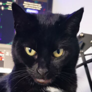 Chezzzro avatar