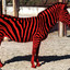 RedAndBlackZebra