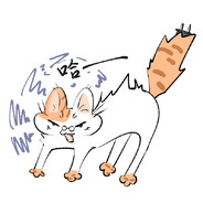 一般通过猫毛球