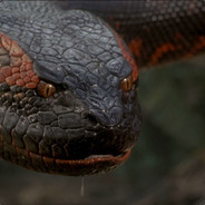 SASAconda