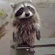 sackhaarjoe - steam id 76561199035536372