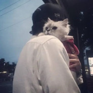 龙绸经叶卫稻香