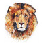 Iamlion