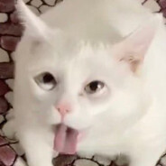 vVv