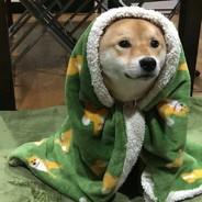 ночь проводник