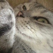 阿尼娅 (ˊo̴̶̷̤ ᴗ o̴̶