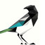 Magpie__