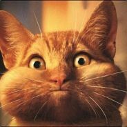 Лунный Фокспаркс