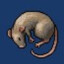 Savage_Rat432