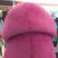 Barney