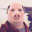 John Pork AdrenalinaRP