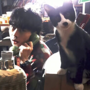 江湖夜雨十年灯