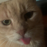 Herbert