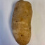 Potato