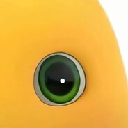 雨还是不停地落下