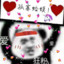 如果你真的爱上我