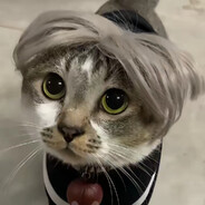 真是蔡徐坤吗？