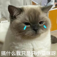 春风不语即随本心