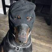 Skorstengaard - steam id 76561199014233652