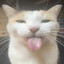 joyfulbeing333