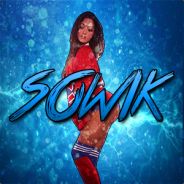 SowiK