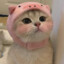 котик убевашка