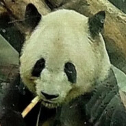 青春の最高潮！！！