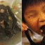 Wuhan Bat Soup