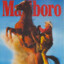 marlborO