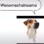 Wenomechainsama
