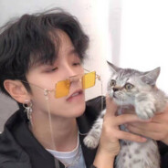 猫和你都想了解