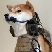 🗡哥带你去遛弯