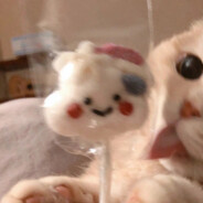 牙牙别吃快睡啦