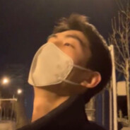 料青山见我应如是