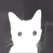 Shit Толкинг ( TryToSly ) avatar