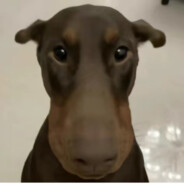 我叫久久你记住