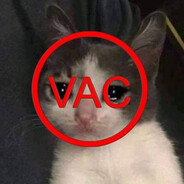 VAC - steam id 76561199881361689