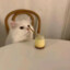 中意