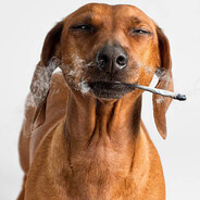 im waaaaaay too high rn..