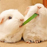 我有姿势我自豪