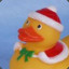 Santa Duck