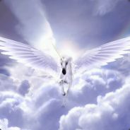 Halo、Miracle