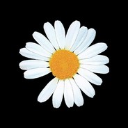 李霸霸白静落雁。